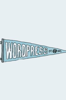 Dummy WordPress Pennant