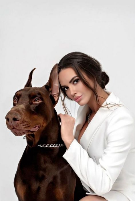 Вип проститутки: Уникальный мир интимного общения и комфортного времяпрепровождения